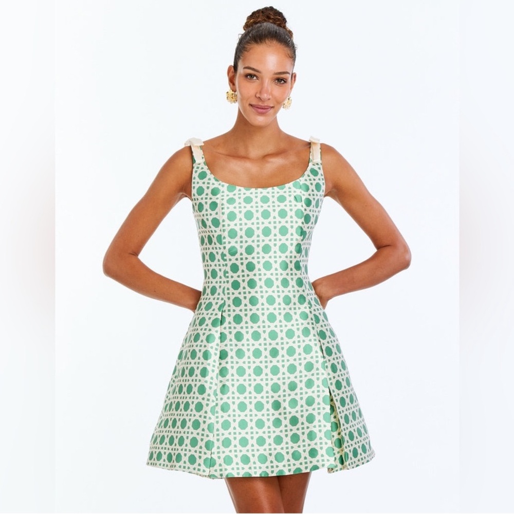 NWT Mestiza Sleeveless Green Patterned Mini Dress